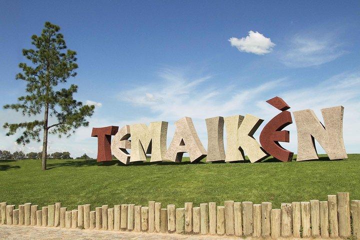 ブエノスアイレス発テマイケンツアー：自然への旅