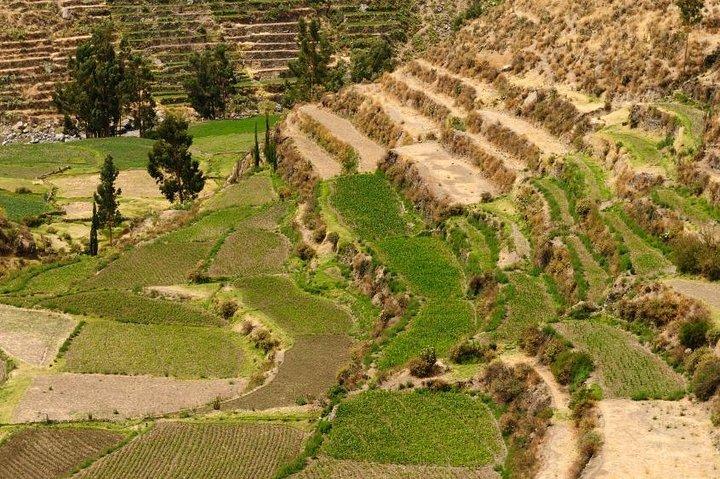 Privat tur Arequipa: Rundtur på landet, Sabandia Mill og Founder's Mansion