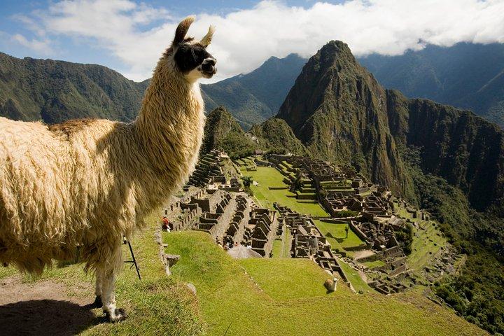 Visite guidée privée du Machu Picchu au départ d’Aguas Calientes