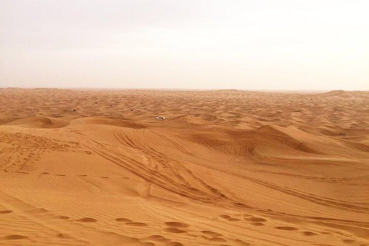 Dubai Morning Desert Small-Group Tour with Dune Bash