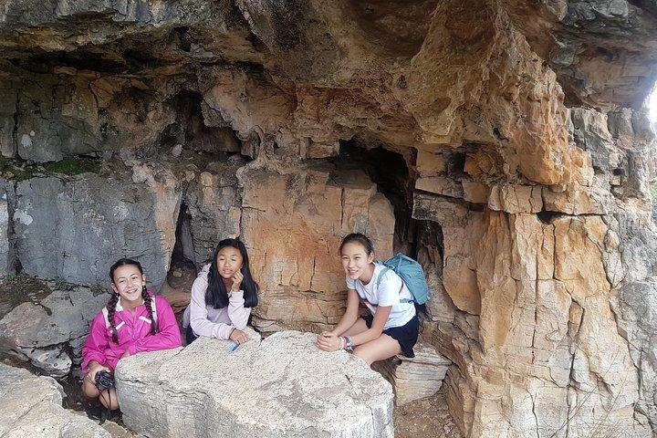 Día del Bosque de Piedra