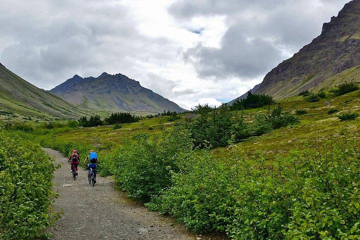 Anchorage Scenic Mountain Bike Tour