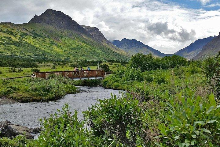 Anchorage Scenic Mountain Bike Tour