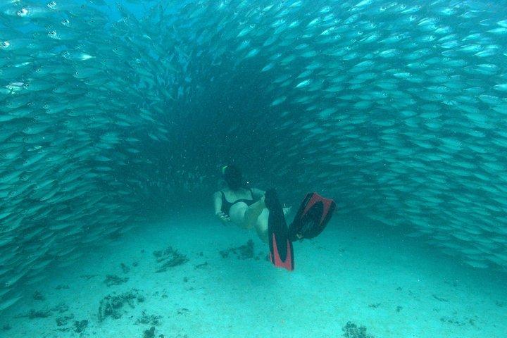 Aventura Maia