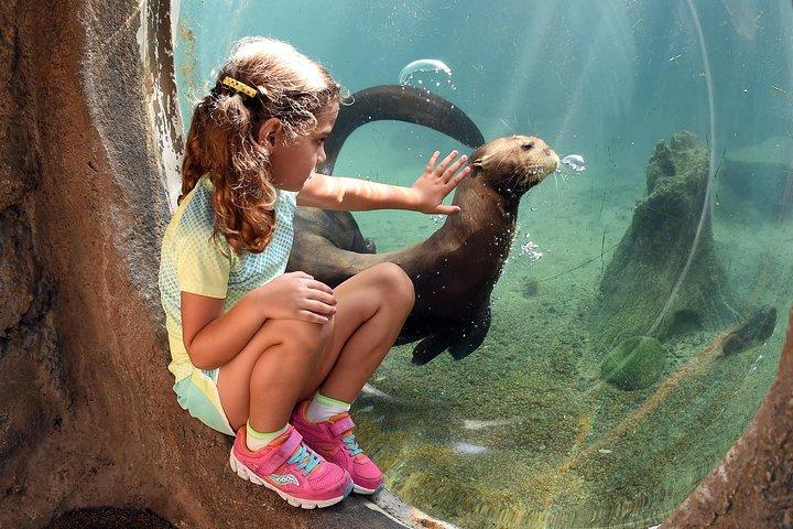 オプションのアップグレード付きマイアミ動物園チケット