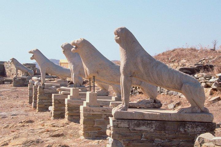 Privat tur: Delos dagstur från Mykonos