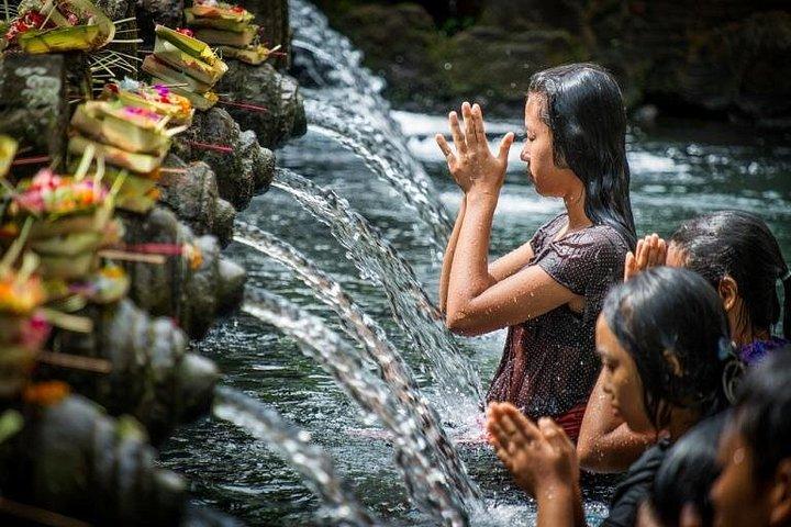 Heldags Private Kulturtur i Ubud på Bali
