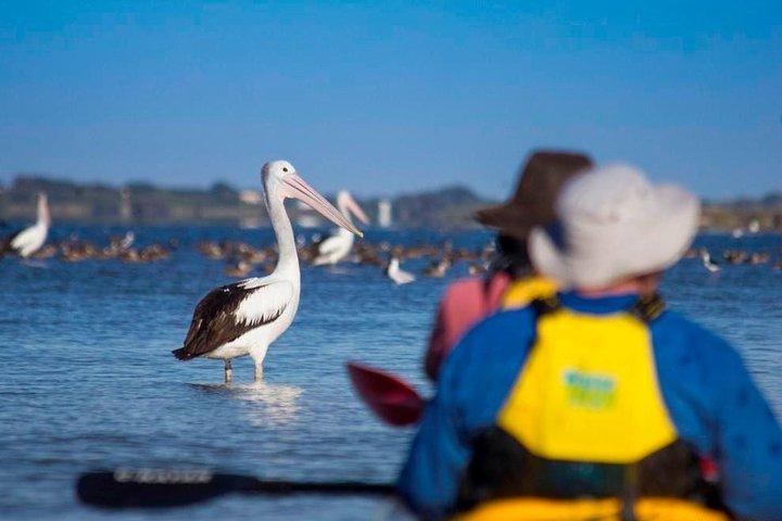 クーロン国立公園での 1 日カヤック ツアー