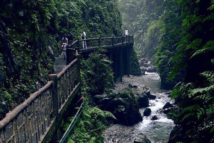 宿坊での宿泊つき楽山大仏と峨眉山2日間プライベートツアー