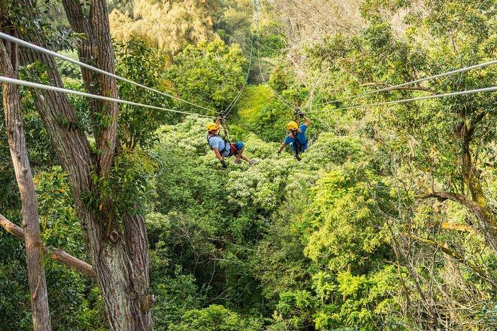 Tour a isola e immersione di Big Island Kohala da Kona