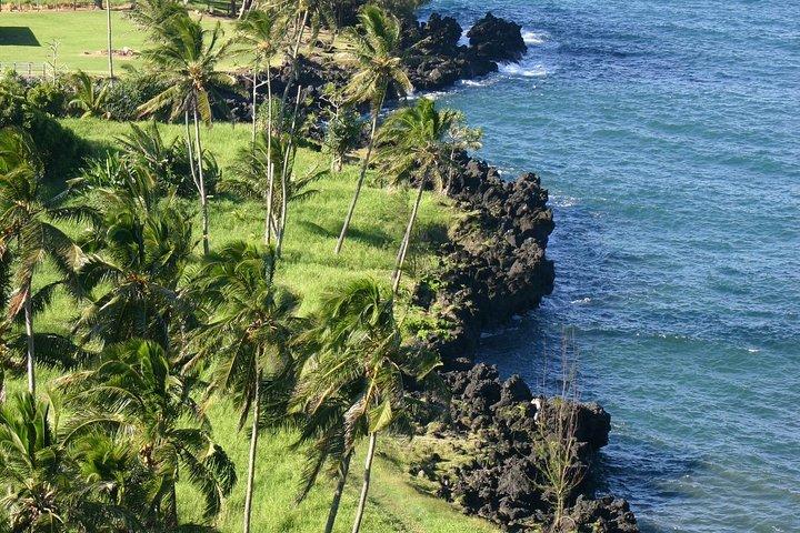Tour di lusso per piccoli gruppi: Road to Hana e Ka'eleku Cavern Day Trip