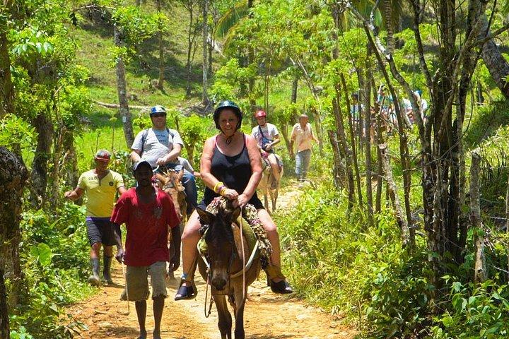 Samana Day Trip Eco-Tour