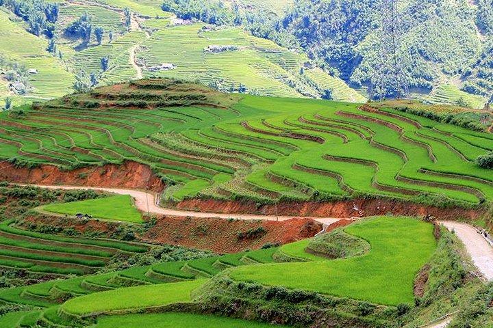 Sapa trekking 2 dias 2 noites em grupo - homestay from Hanoi