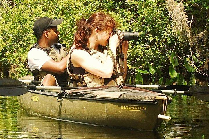 Tour ecologico in kayak al tunnel di mangrovie guidato di 3 ore