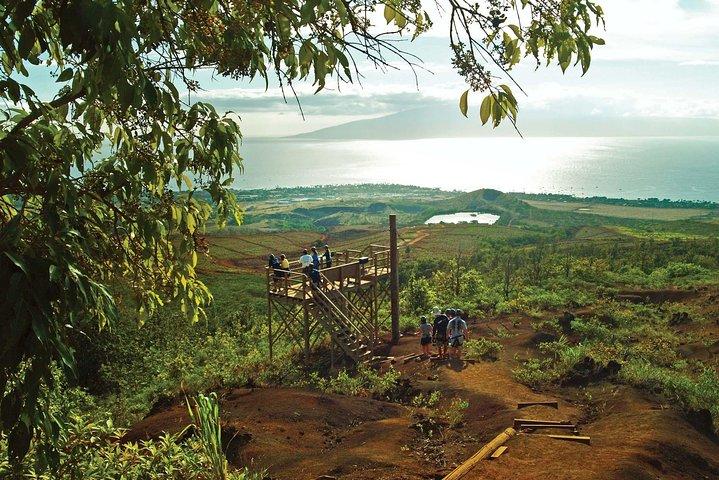 マウイ8ラインジップラインアドベンチャー：渓谷の上＆島の景色に舞い上がる