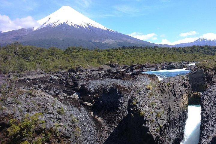 Excursão privada: Puerto Montt, Puerto Varas e Parque Nacional de Vicente Peres Rosales