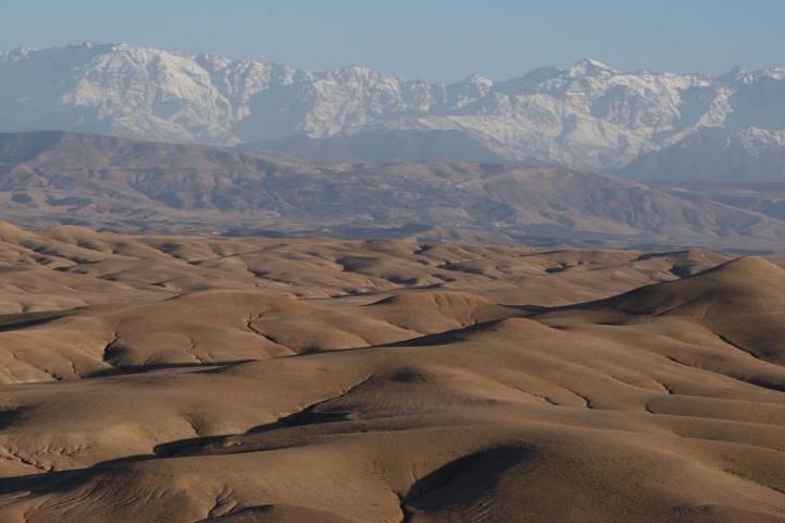 Giro in cammello e cena nel deserto di Agafay