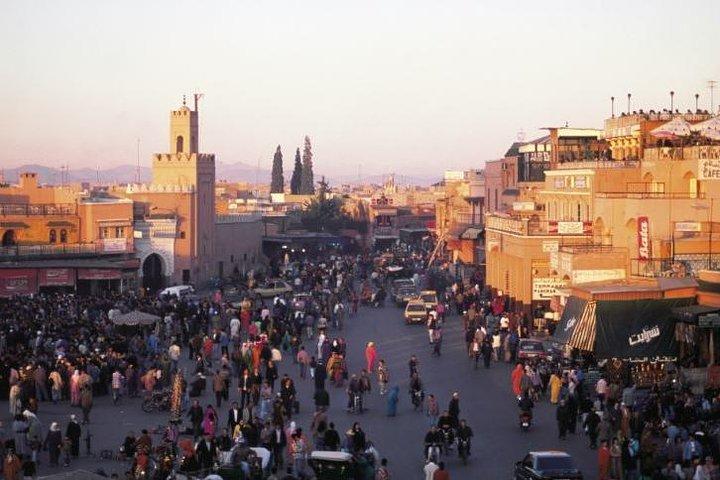 Private Guided City Tour: Ontdek de authentieke Marrakech