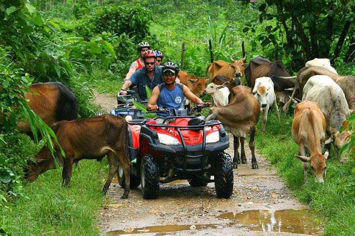 Half-Day Adventure 4x4 ATV, Water Cave and Dominican Culture