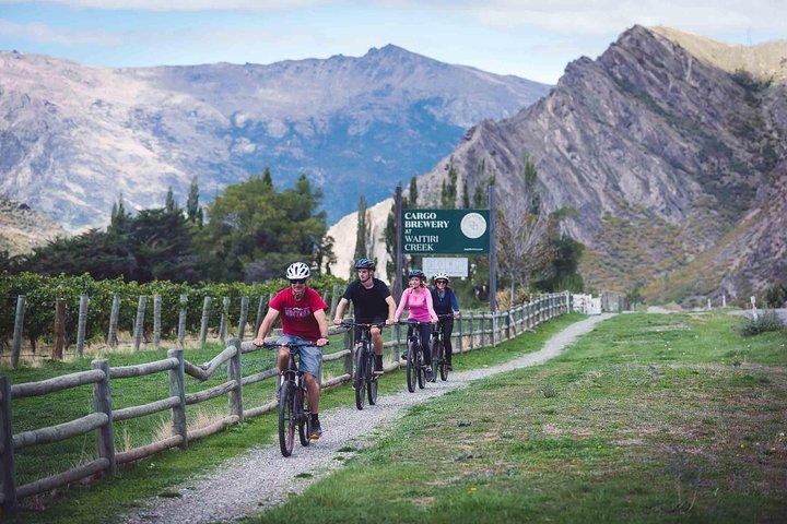 Bike Die Weingüter (1/2 Tag) - Schnellpedal zum Spätburgunder