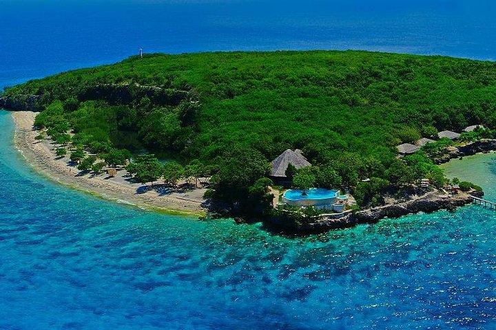 Oslob Whale Shark och Sumilon Day Tour