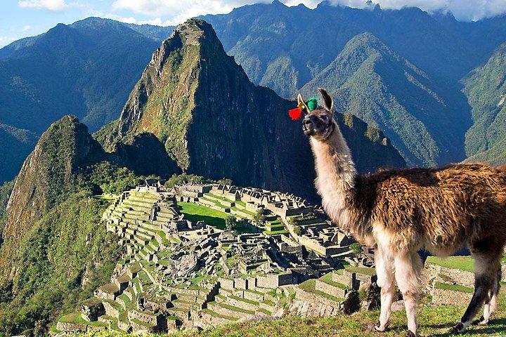 Machu Picchu Tour by Vistadome Panoramic Train from Cusco
