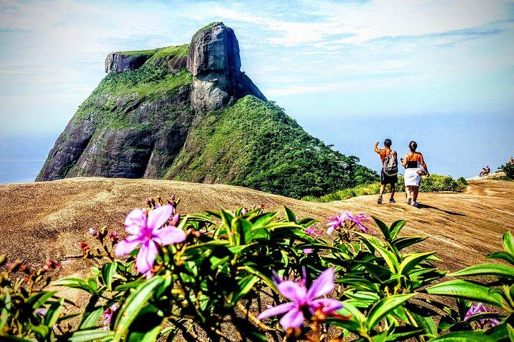 Tijuca Forest Half-Day Hike (Lille gruppe eller privat)