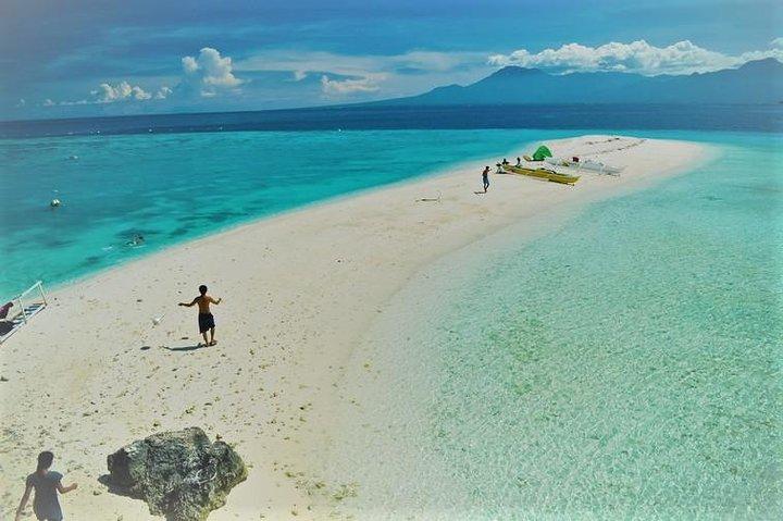 Oslob Whaleshark med Sumilon Island