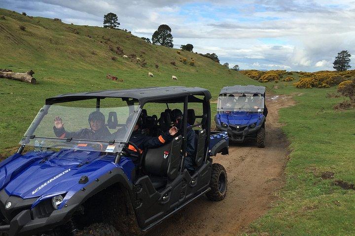 Rotorua Off-Road 4WD Buggy Adventure