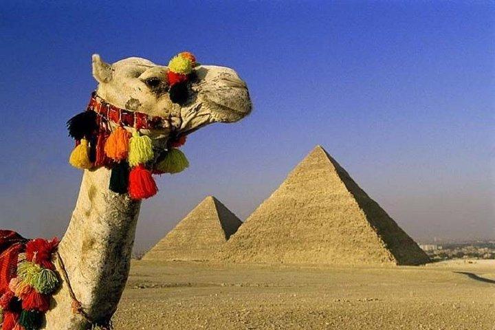 4 Dagen Cairo City Break inbegrepen The Great Pyramids - Egyptian Museum - Saqqara - Maemphis - Old City - Khan El Khalily Bazar en een Dinner Cruise