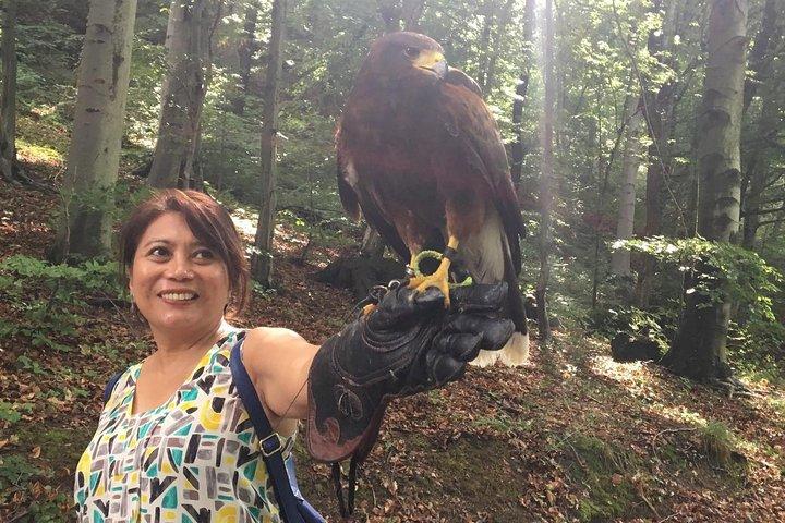 Medvednica Nature Park Falconry Tour vanuit Zagreb
