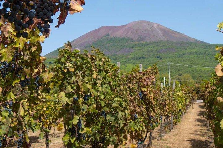 Amalfi Coast with Wine Tasting - Private Driving Tour from Rome