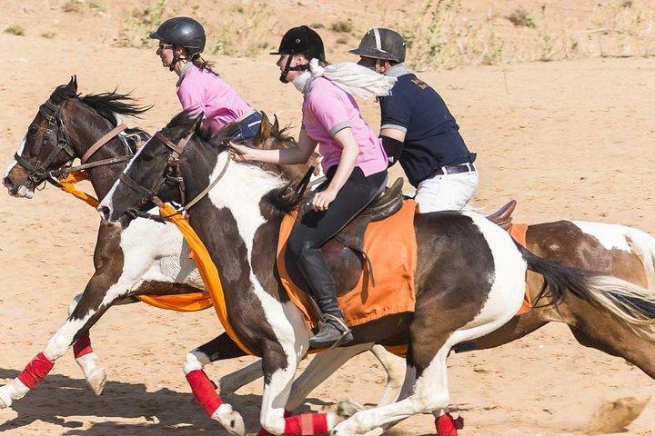 Jaipur Ridning Äventyr