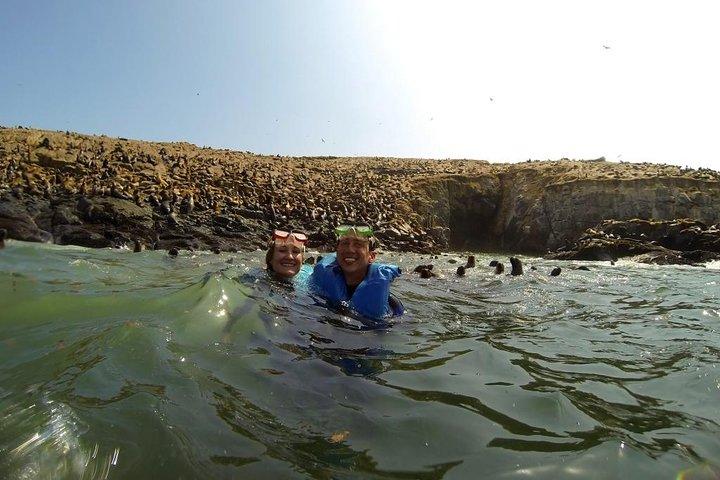 Lima: Palomino Islands Excursion & Swimming with Sea Lions with Hotel Transfers