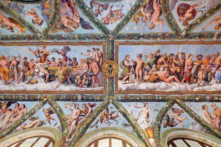 Skip-the-line Villa FarnesinaとRaphael's Paintingsの個人ツアー