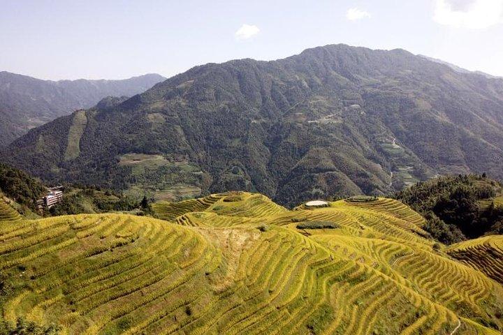Rizières en terrasses de Longji et visite privée du village minoritaire de Guilin