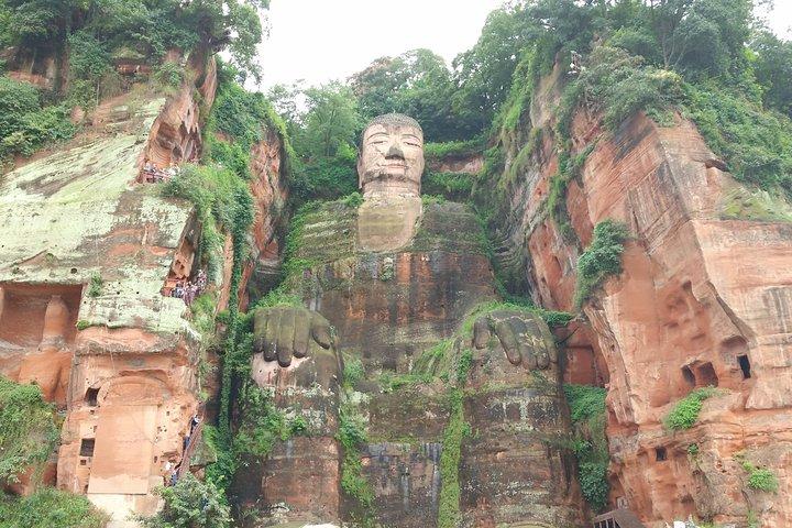 Punti salienti di Chengdu Tour della Base Panda e del Buddha gigante di Leshan