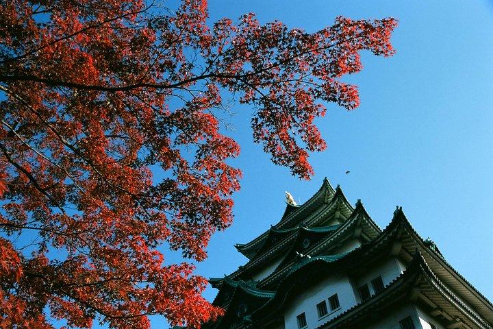 Excursion privée d'une journée à Nagoya