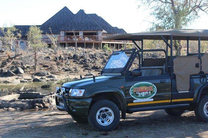 Full-Day Big 5 Safari from Hazyview