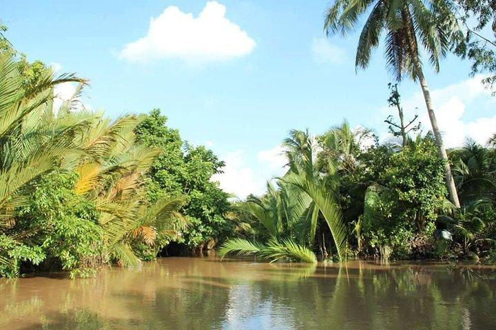 Autentico tour privato di 1 giorno del delta del Mekong Ben Tre "non turistico".