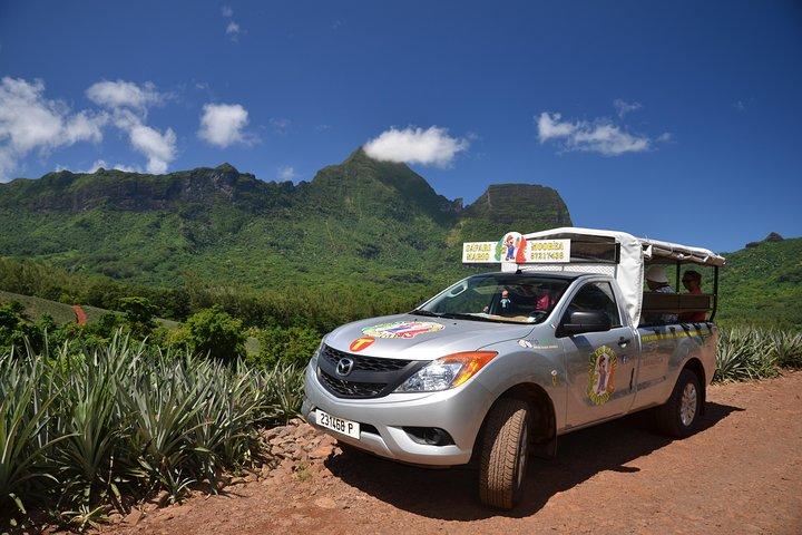 Tour Privé Matin Moorea 4WD avec Champagne