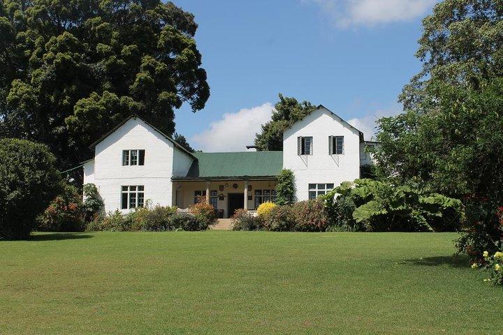 Excursion d'une journée à la ferme de thé Kiambethu à Limuru