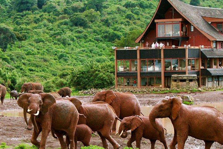 Privé 5-daagse Aberdare Lake Nakuru en Masai Mara Safari vanuit Nairobi