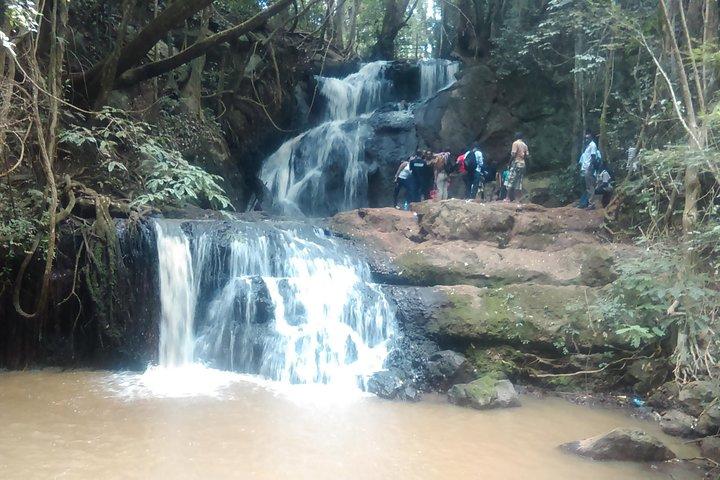 Excursion d'une journée à Nairobi à la randonnée dans la forêt de Karura, randonnée pédestre et randonnée dans la nature