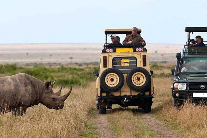 14 giorni di safari in Kenya e Tanzania da Nairobi