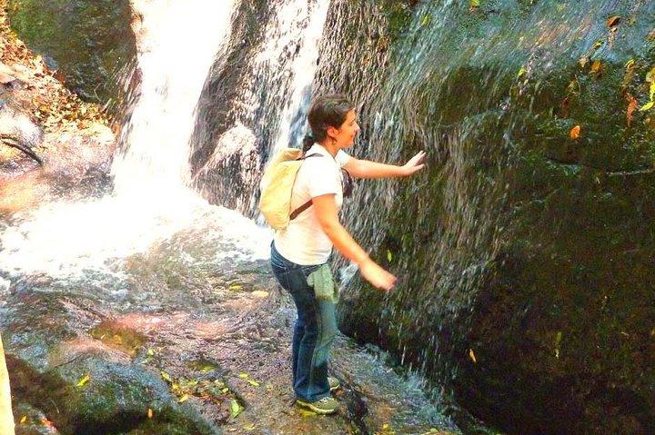 Ecologische wandeling in Sao Paulo