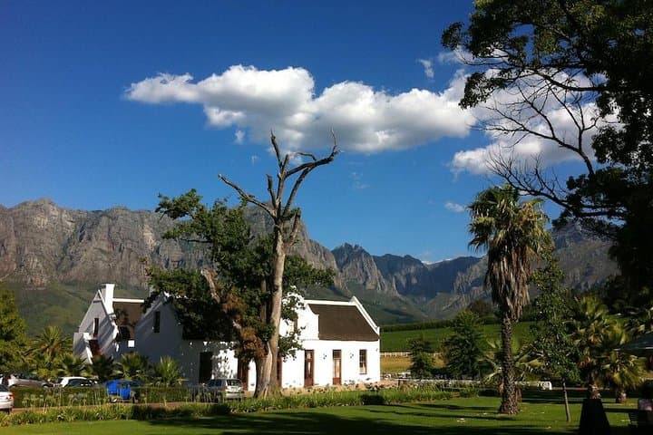 Full-Day Whale Watching and Wine Tasting Tour from Cape Town