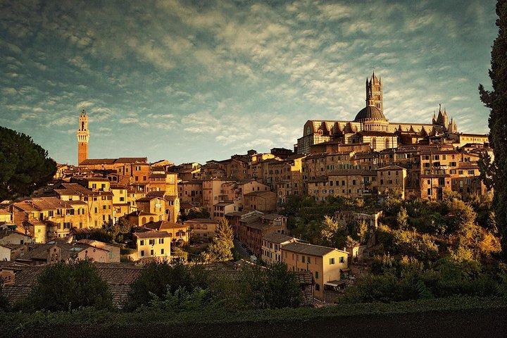 Vino e Cucina Sotto il Sole della Toscana 5 Giorni di Esperienza