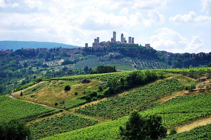 San Gimignano y Chianti Classico Wine and Food TOUR PRIVADO desde Florencia