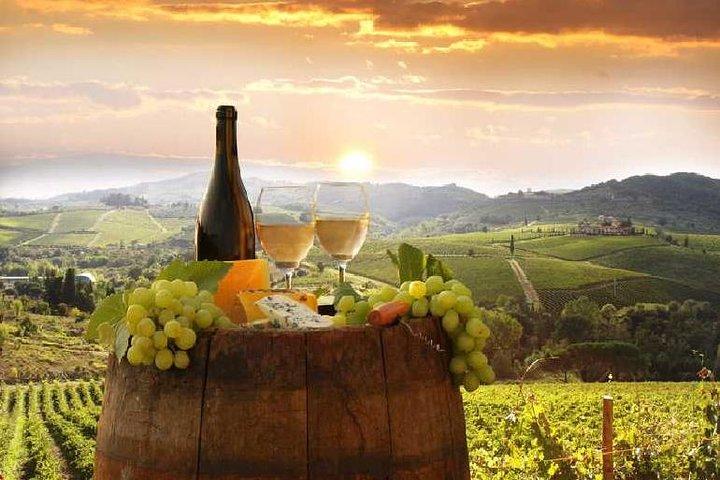 Recorrido vinícola privado en Chianti desde Florencia